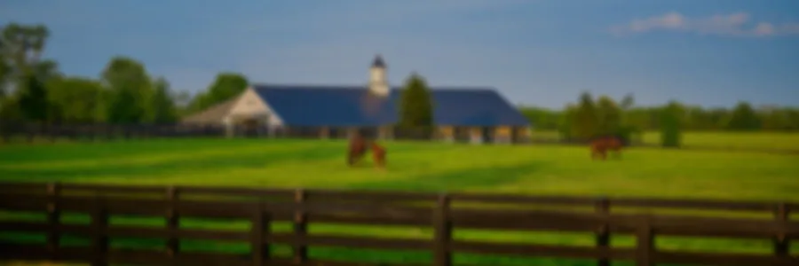 Equine Production Systems