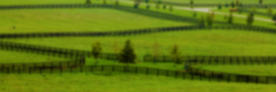 Equine Production Systems