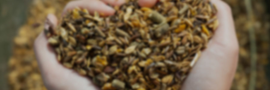 Nutrition and Feeding