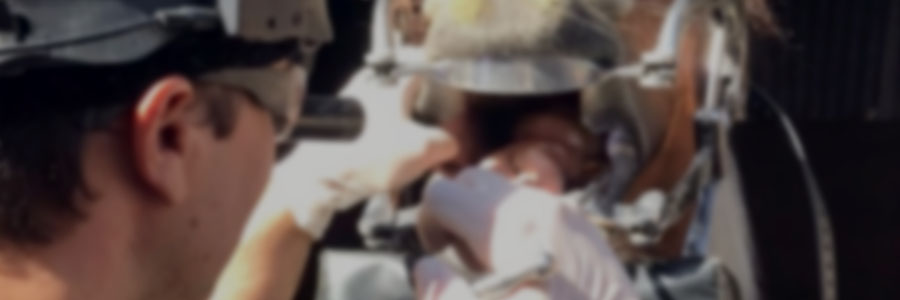 Dentistry in Production Systems