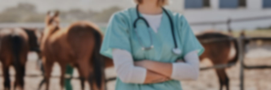 Outpatient Equine Medicine and Pediatrics