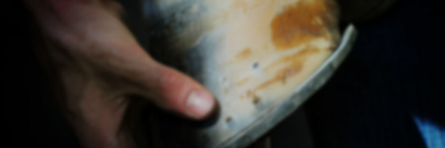 Podología en sistemas productivos