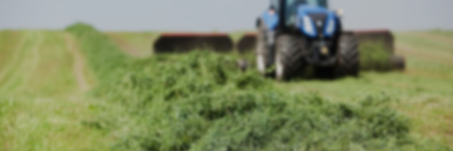 Forage production and management