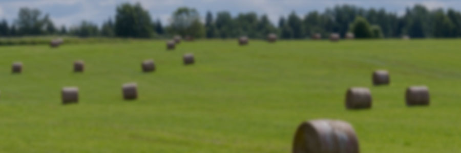 Forage Production and Management