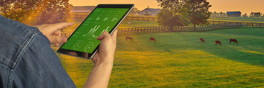 Is my production system profitable?