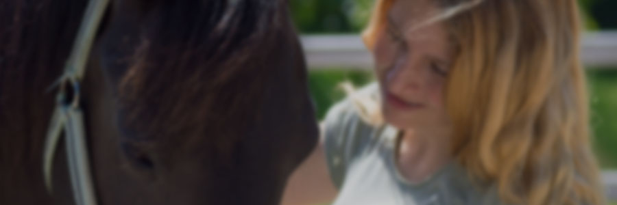 Manejo práctico del comportamiento equino