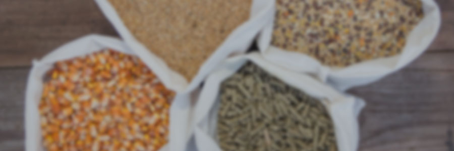 Diagnósticos y formulación de dietas​