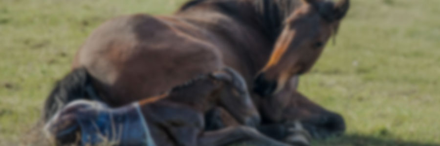 Atención de emergencias perinatales